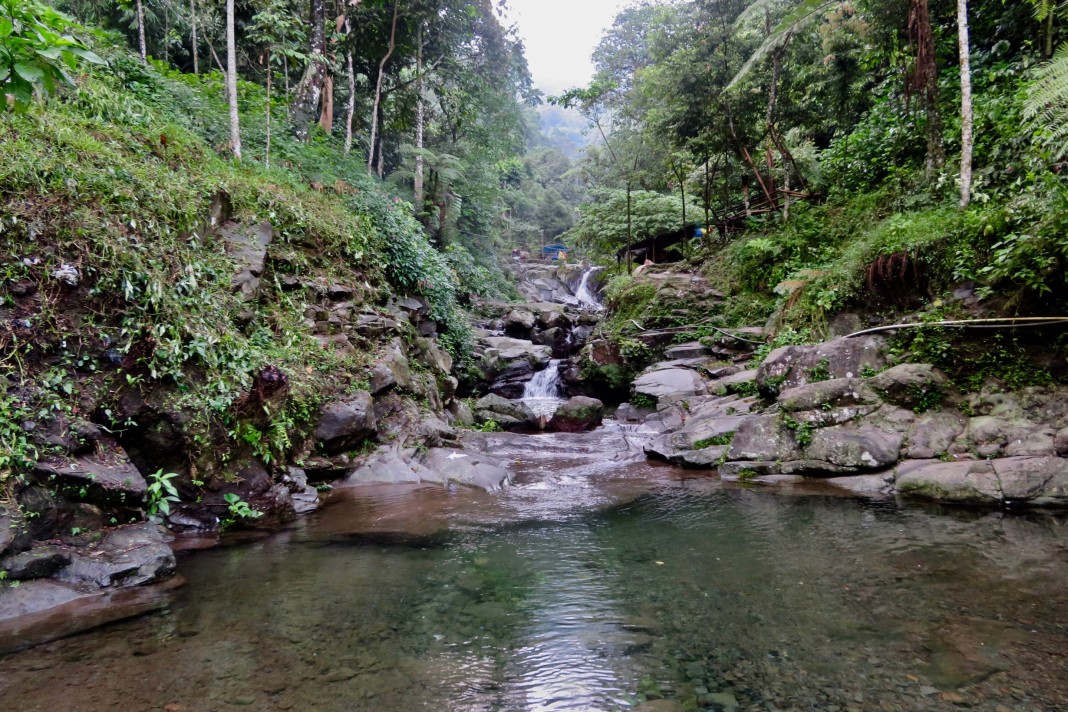 Explore the waterfalls of Gunung Halimun Salak National Park. Photo by: Sally Arnold.