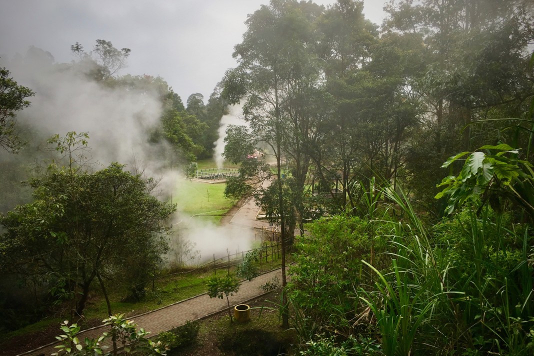 Steaming! Photo by: Sally Arnold.