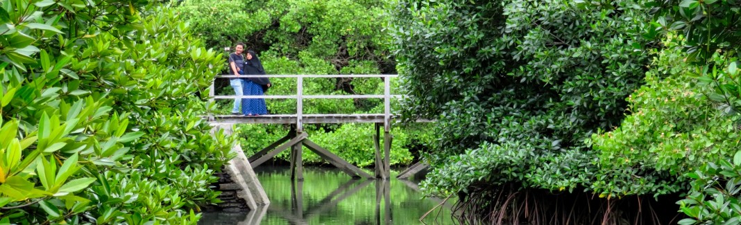 Mangrove Information Centre Suwung Kawuh