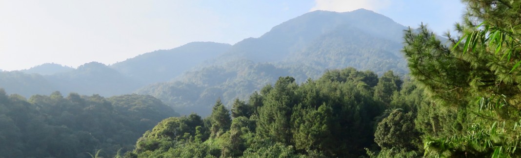 Gunung Halimun Salak National Park