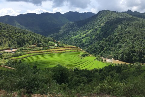 Emerald rice fields fill many of the valleys. Photo by: Stuart McDonald.