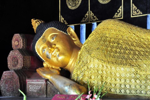 Reclining Buddha all rugged up for cool season. Photo by: Mark Ord.