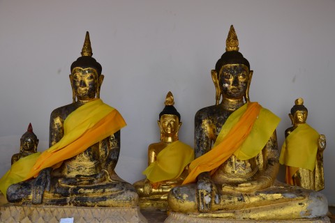 A diverse family of Buddha’s at Wat Phra Borommathat Chaiya. Photo by: David Luekens.