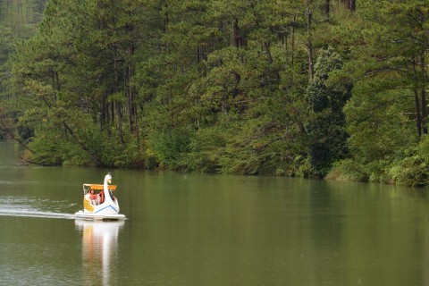 Break out the swan boats. Photo by: Cindy Fan.