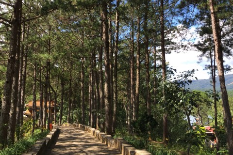 Ah, the scent of pines. Follow the stairs down to the lake. Photo by: Cindy Fan.