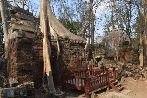 A bit of Ta Phrom without the hordes. Photo by: Stuart McDonald.