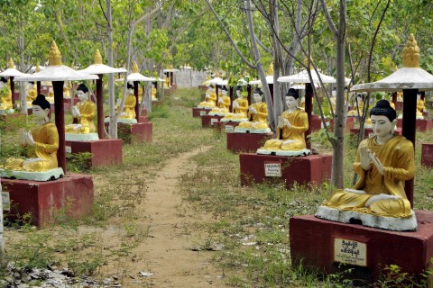 The Buddha garden at the entrance to the complex. Photo by: Mark Ord.