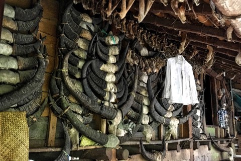 Waitabar houses adorned with magnificent buffalo horns. Photo by: Sally Arnold.